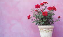 Load image into Gallery viewer, Ditsy Blooms 12x16 Paint Inlay IOD