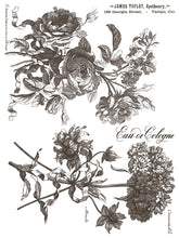 Load image into Gallery viewer, IOD Floriography 12x16 Paint Inlay