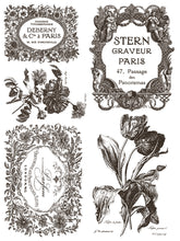 Load image into Gallery viewer, IOD Floriography 12x16 Paint Inlay