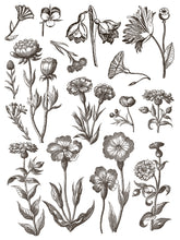 Load image into Gallery viewer, IOD Floriography 12x16 Paint Inlay