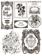 Load image into Gallery viewer, IOD Floriography 12x16 Paint Inlay