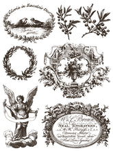 Load image into Gallery viewer, IOD Gloria Paint Inlay Iron Orchid Designs