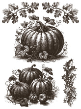 Load image into Gallery viewer, IOD Gloria Paint Inlay Iron Orchid Designs