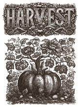 Load image into Gallery viewer, IOD Gloria Paint Inlay Iron Orchid Designs