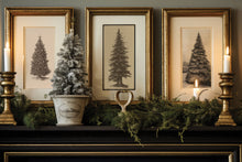 Load image into Gallery viewer, IOD Gloria Paint Inlay Iron Orchid Designs