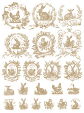 Load image into Gallery viewer, IOD Spring Melody 12x16 Paint Inlay Set Iron Orchid Designs