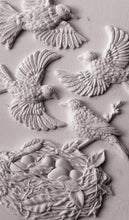 Load image into Gallery viewer, IOS Sparrow's Nest Mould Iron Orchid Designs