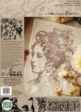 Load image into Gallery viewer, Charlotte_IOD_12x12_Decor Stamp_Iron Orchid Designs