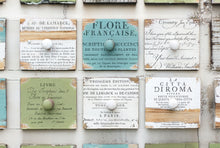 Load image into Gallery viewer, Ephemeral Type_IOD_Decor Stamp_Iron Orchid Designs
