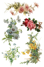 Load image into Gallery viewer, IOD Catharina 8x12 Transfer Set Iron Orchid Designs