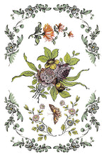 Load image into Gallery viewer, Fairytale Florals 8x12 Transfer_IOD_Iron Orchid Designs