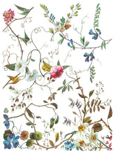 Load image into Gallery viewer, IOD Lost Garden 12x16 Transfer Set Iron Orchid Designs