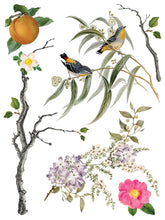 Load image into Gallery viewer, IOD Menagerie 12x16" Transfer Pad Iron Orchid Designs