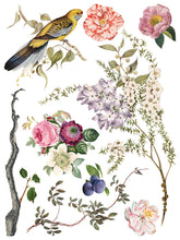 Load image into Gallery viewer, IOD Menagerie 12x16" Transfer Pad Iron Orchid Designs