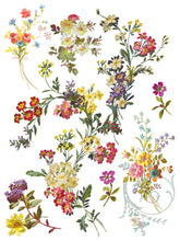 Load image into Gallery viewer, IOD Saint Germain 12x16" Transfer Pad Iron Orchid Designs