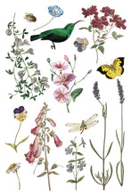 Load image into Gallery viewer, IOD Wilde Bloemen 8x12 Transfer Set Iron Orchid Designs