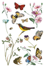 Load image into Gallery viewer, IOD Wilde Bloemen 8x12 Transfer Set Iron Orchid Designs