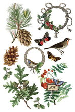 Load image into Gallery viewer, Winter Botanist 8x12 IOD Decor Transfer Iron Orchid Designs