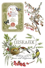 Load image into Gallery viewer, Winter Botanist 8x12 IOD Decor Transfer Iron Orchid Designs