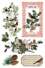 Load image into Gallery viewer, Winter Botanist 8x12 IOD Decor Transfer Iron Orchid Designs