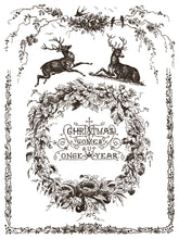 Load image into Gallery viewer, IOD Twelfth Night 12x16 Paint Inlay Iron Orchid Designs