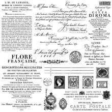 Load image into Gallery viewer, Ephemeral Type_IOD_Decor Stamp_Iron Orchid Designs