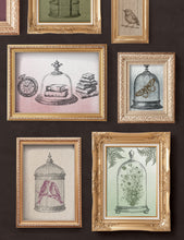 Load image into Gallery viewer, Iron Orchid Designs/IOD Pastiche Decor Stamp
