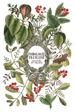 Load image into Gallery viewer, IOD Clementine 8x12 Decor Transfer Iron Orchid Designs