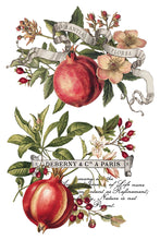 Load image into Gallery viewer, IOD Clementine 8x12 Decor Transfer Iron Orchid Designs