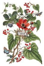 Load image into Gallery viewer, IOD Clementine 8x12 Decor Transfer Iron Orchid Designs