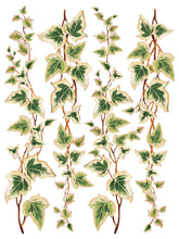 Load image into Gallery viewer, Iron Orchid Designs/IOD Collage de Fleurs Decor Transfer