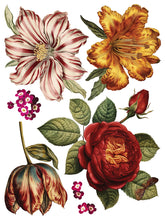 Load image into Gallery viewer, Iron Orchid Designs/IOD Collage de Fleurs Decor Transfer