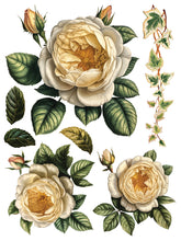 Load image into Gallery viewer, Iron Orchid Designs/IOD Collage de Fleurs Decor Transfer