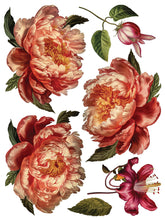 Load image into Gallery viewer, Iron Orchid Designs/IOD Collage de Fleurs Decor Transfer