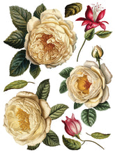 Load image into Gallery viewer, Iron Orchid Designs/IOD Collage de Fleurs Decor Transfer