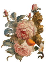 Load image into Gallery viewer, Iron Orchid Designs/IOD Joie des Roses Decor Transfer