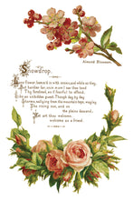 Load image into Gallery viewer, Iron Orchid Designs/IOD Lover of Flowers Decor Transfer