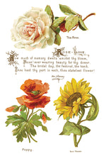 Load image into Gallery viewer, Iron Orchid Designs/IOD Lover of Flowers Decor Transfer