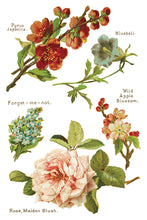 Load image into Gallery viewer, Iron Orchid Designs/IOD Lover of Flowers Decor Transfer