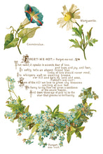 Load image into Gallery viewer, Iron Orchid Designs/IOD Lover of Flowers Decor Transfer