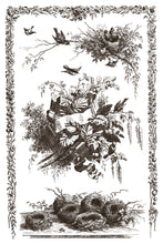 Load image into Gallery viewer, Little Lark I.O.D. 8x12 Paint Inlay_Iron Orchid Designs
