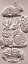 Load image into Gallery viewer, Les Lapins IOD 6x10" Mould