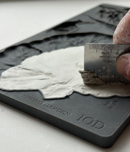 Load image into Gallery viewer, Spring Garden IOD 6"x10" Mould
