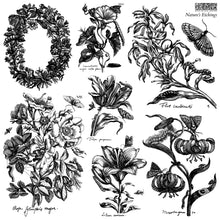 Load image into Gallery viewer, Nature's Etchings 12x12 I.O.D.Decor Stamp Set_Iron Orchid Designs