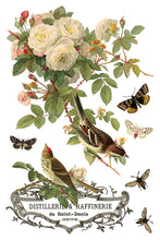 Load image into Gallery viewer, By Any Other Name IOD 8x12 Transfer