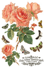 Load image into Gallery viewer, By Any Other Name IOD 8x12 Transfer
