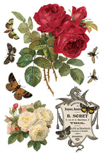 Load image into Gallery viewer, By Any Other Name IOD 8x12 Transfer