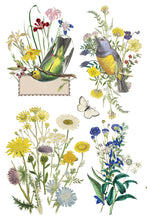 Load image into Gallery viewer, Flora Greca IOD 8x12 Transfer