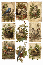 Load image into Gallery viewer, IOD Holly Glenn 8x12 Christmas Holiday Transfer