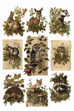 Load image into Gallery viewer, IOD Holly Glenn 8x12 Christmas Holiday Transfer